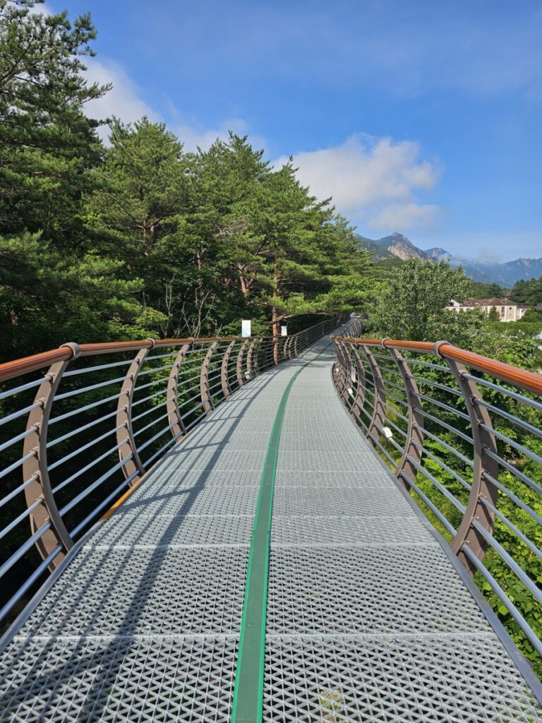 설악동 B1,B2주차장에 접한 데크산책로 좌우로 우거진나무